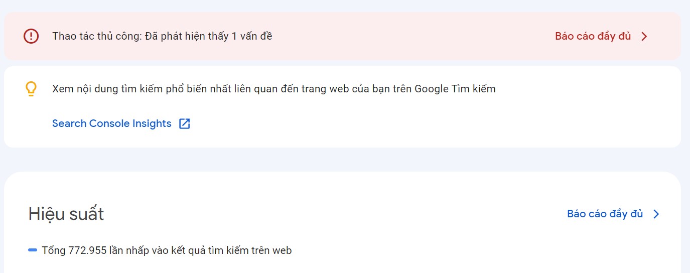 Hình phạt thủ công google