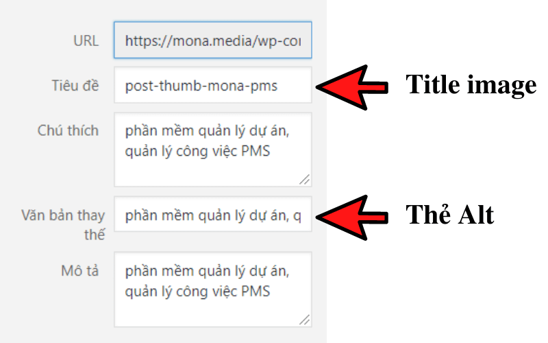 viết content chuẩn seo