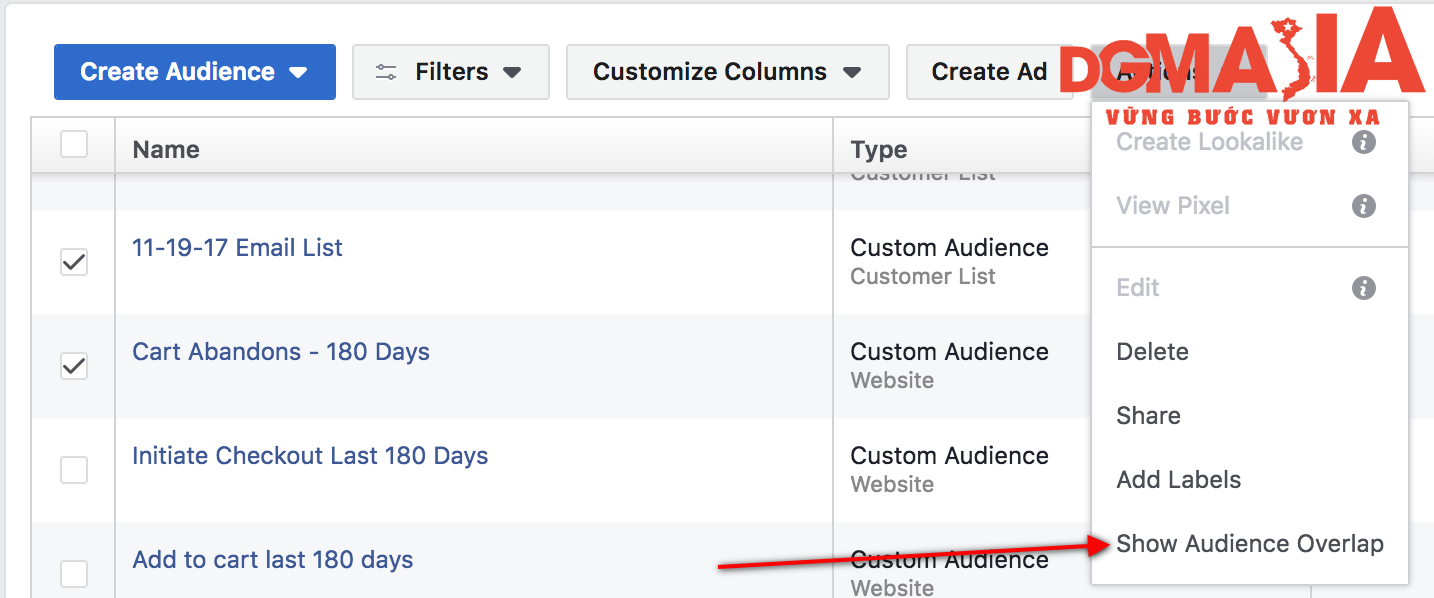 Click vào Action, sau đó click tiếp vào Show Audience Overlap, bạn sẽ thấy được các đối tượng bị trùng lặp